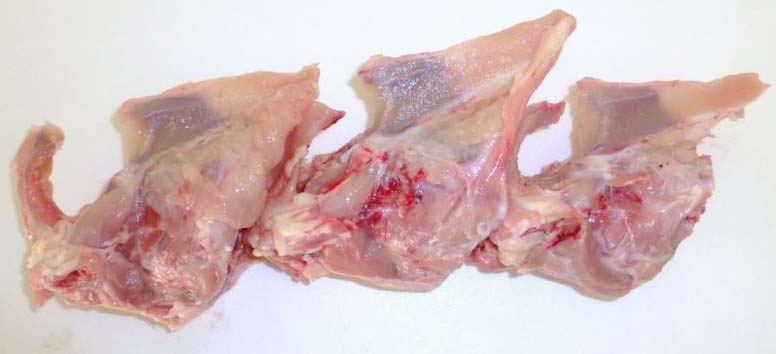 Chicken Carcass