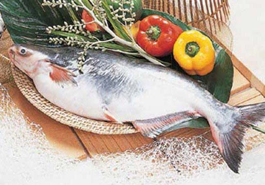 Vietnam Basa Fish