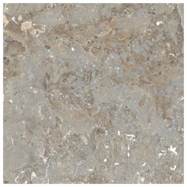 Vitrified Floor Tiles 26