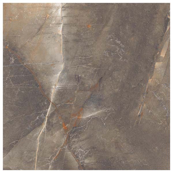 Vitrified Floor Tiles 46