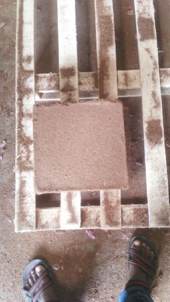 Coir Pith Blocks 03