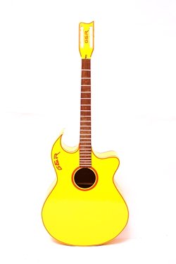 Horn rose Acoustic Guitar