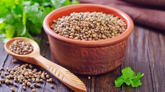 Coriander Seeds 01
