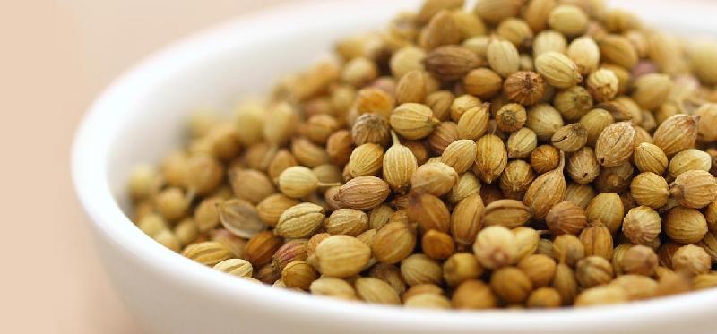 Coriander Seeds 02