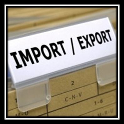 Import Export Licensing Service