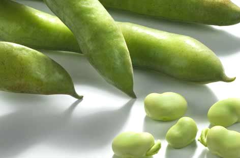 Green Broad Beans 01