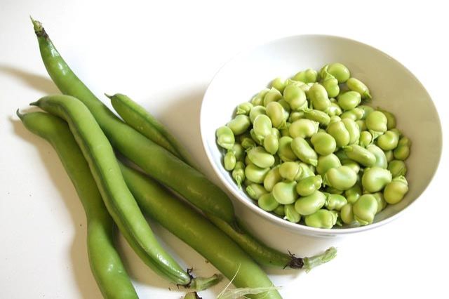 Green Broad Beans 02