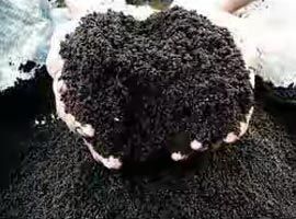 Loose Vermicompost