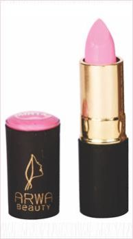 Powder Matte Lipstick 01