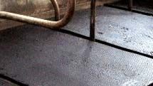 Cow Mats