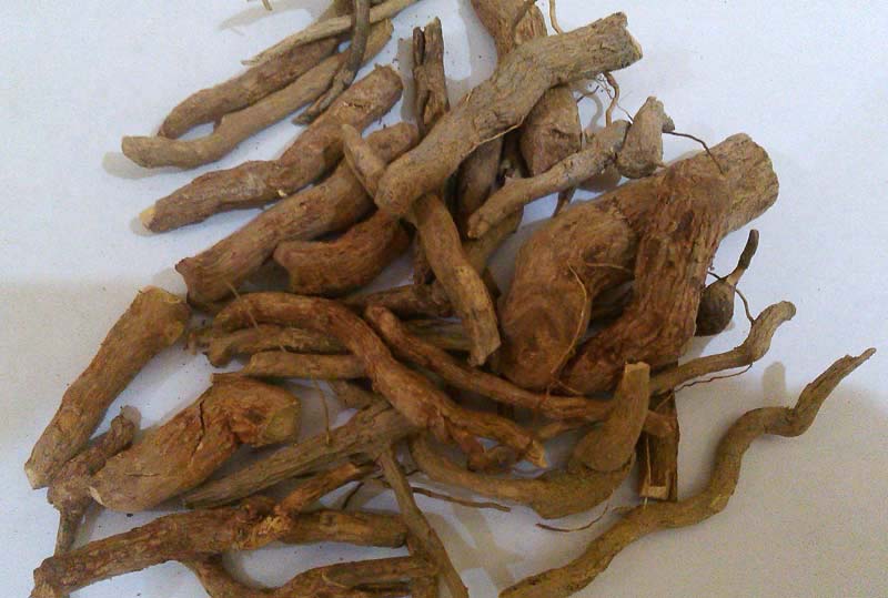 Dried Serpentina Roots