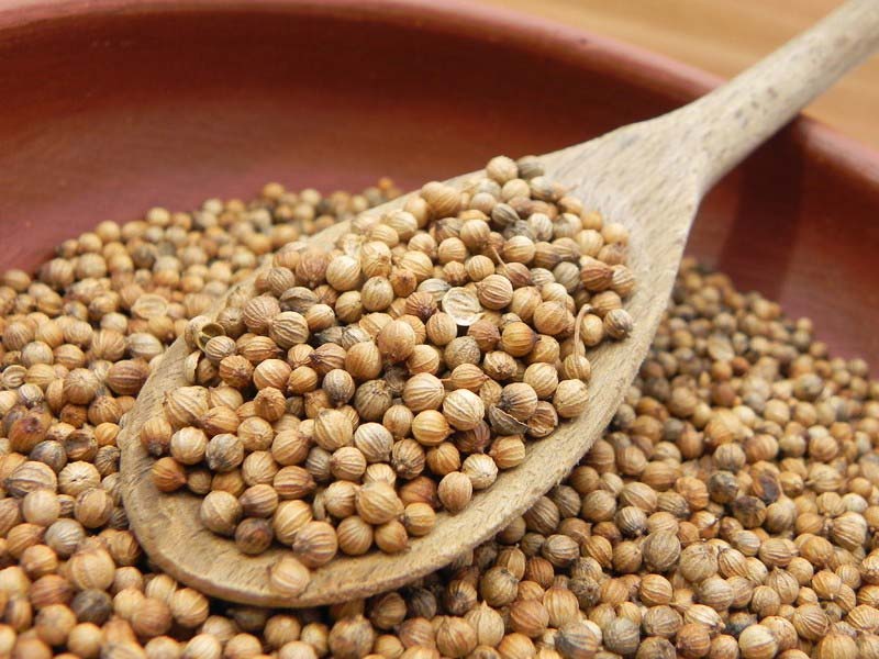 Coriander Whole 02