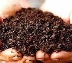 Processed Organic Fertilizer