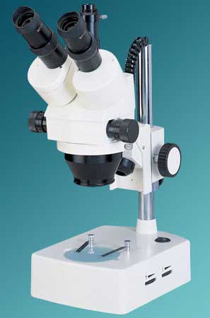 Stereo Microscope