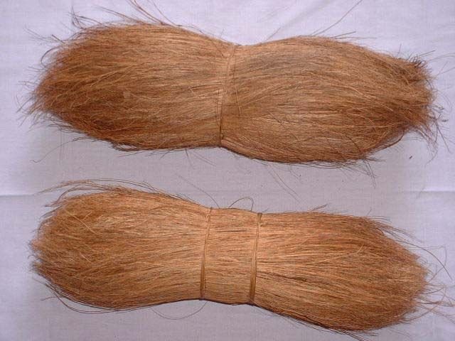 Bristle Fiber 01