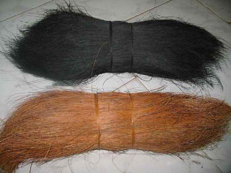 Bristle Fiber 03
