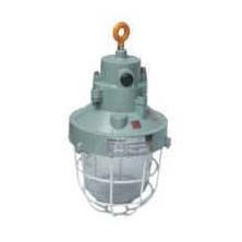LED Flame Proof Light 01