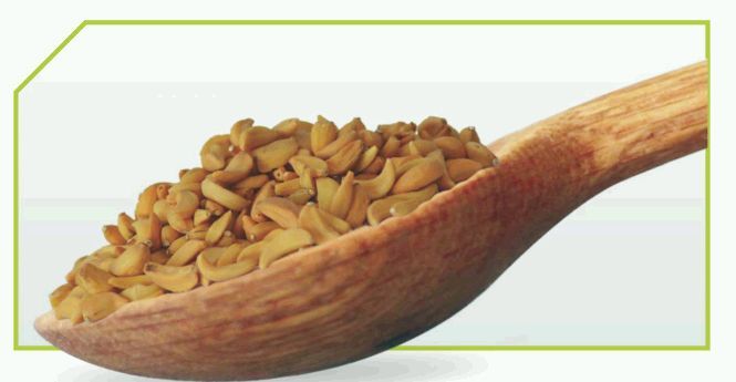 Dehydrated Garlic 02