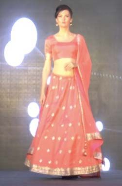 Lehenga Choli 06