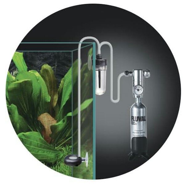 Fluval CO2 Set