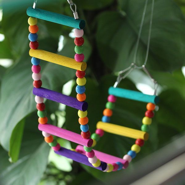 Ladder Swing for Birds