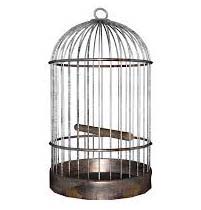 Bird Cage 02