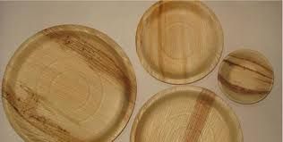 Areca Leaf Plate 05