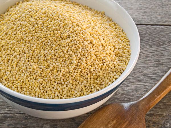 Millet Seed 02