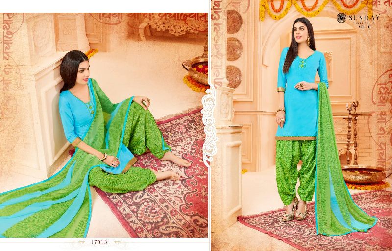 Ladies Patiala Suit Fabric (D. No. 17013)