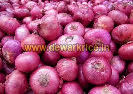 Red Onion 01