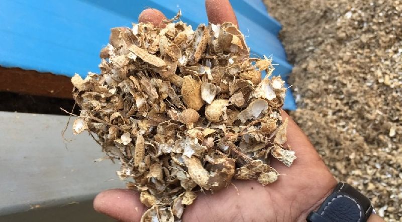 Groundnut Shell 02