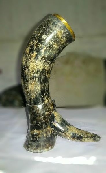 Natural Drinking Horn 03