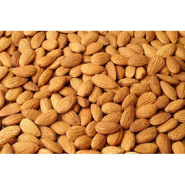 Almond Kernels 01