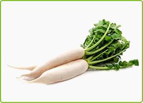 Fresh Radish