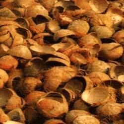 Coconut Shell Chip 03