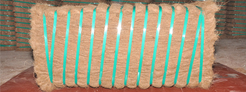 Coir Fibre 04