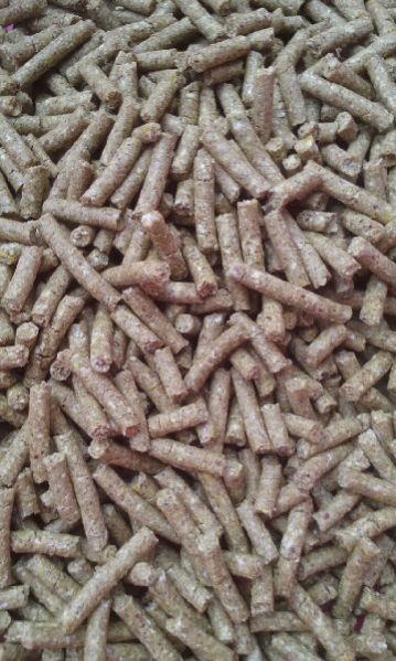 Cattle Feed Pellets 02