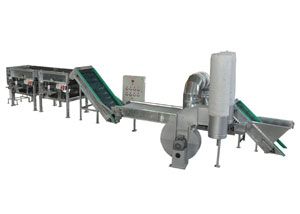 Potato Grading Machine 02