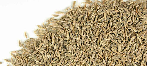 Indian Cumin Seeds