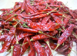 IPM Dried Red Chilli
