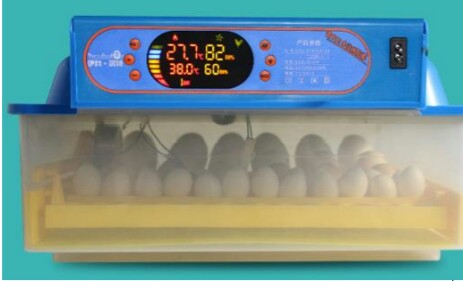 Mini Egg Incubator