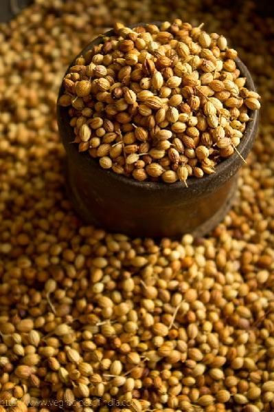 Coriander Seeds 03