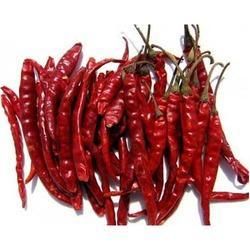 Dried Red Chilli 02