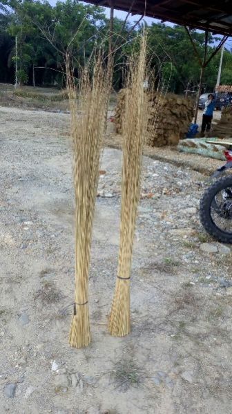 Super Coconut Broom 02