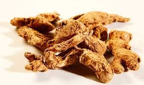 Dried Ginger 03
