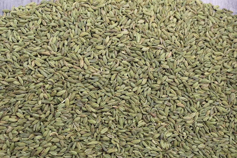 Fennel Seeds 02