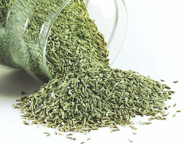 Fennel Seeds 03