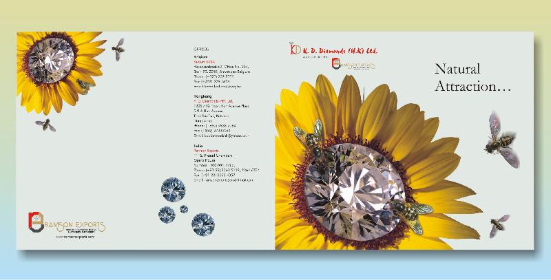 Offset Printed Catalogue 02