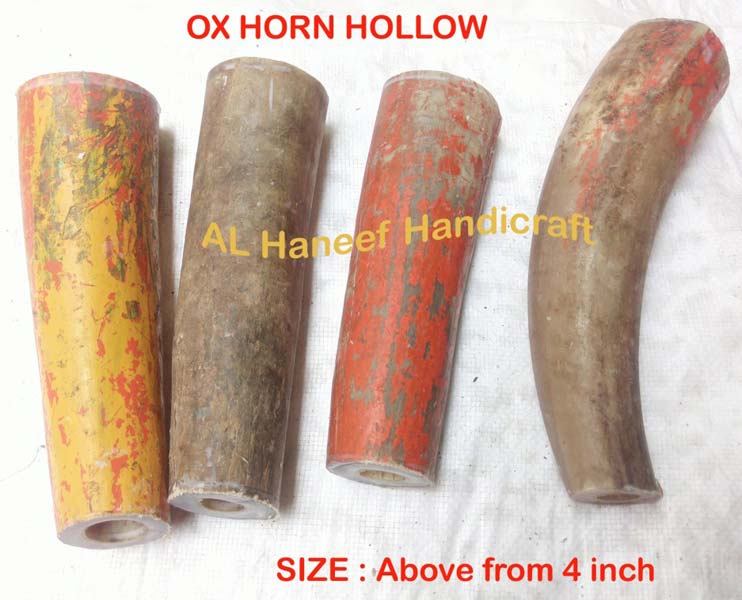 OX Horn Tips & Hollow 03