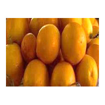 Certified Organic Fresh Mango